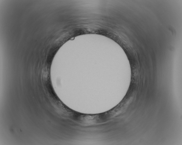 X0000111470129200908241350