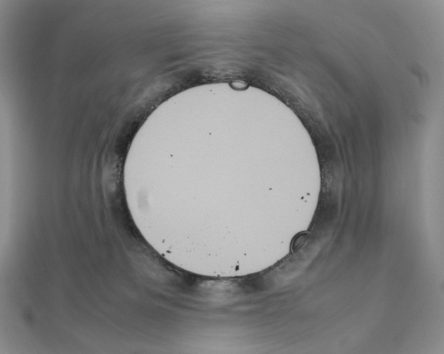 X0000111470133200908241350