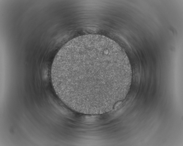 X0000111470134200908241350