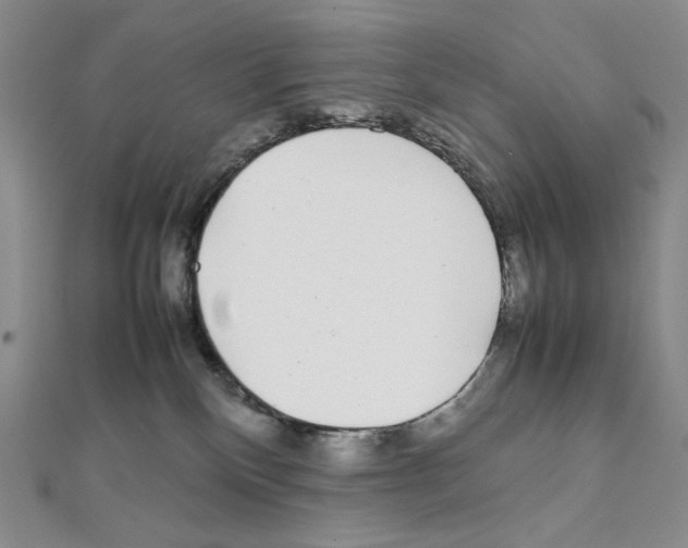 X0000111470136200908241350