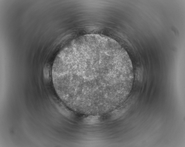 X0000111470138200908241350