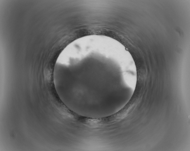 X0000111470139200908241350