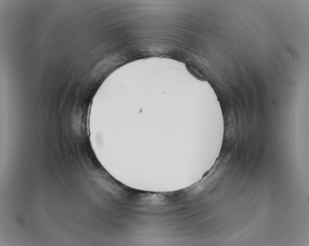 X0000111470140200908241350