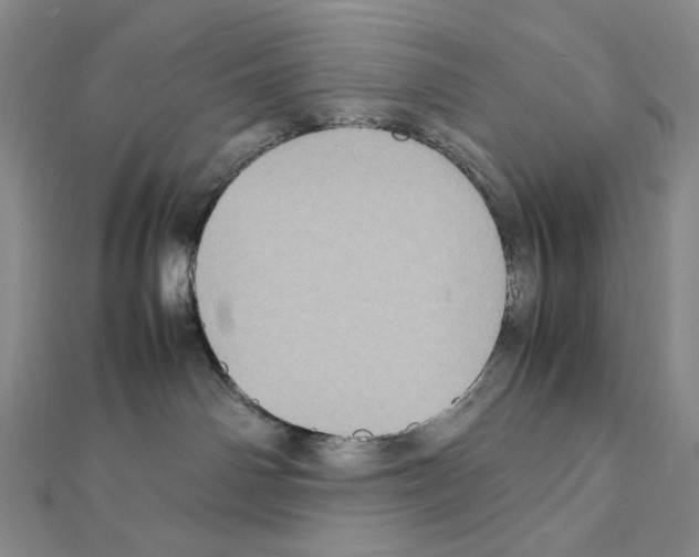 X0000111470142200908241350