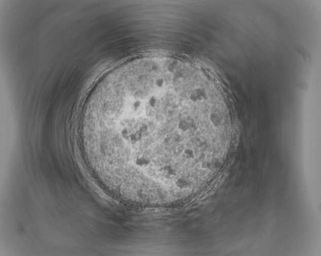 X0000111470145200908241349