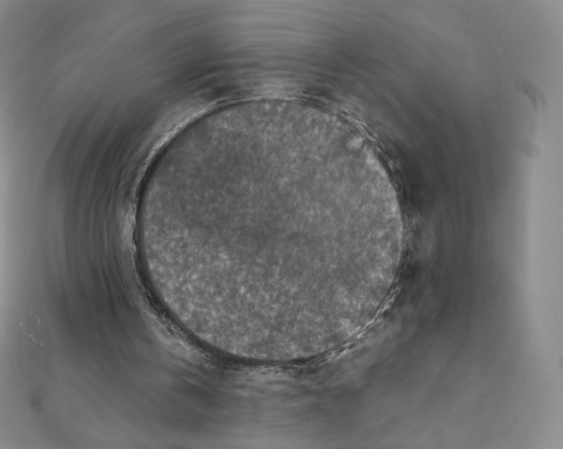 X0000111470146200908241349