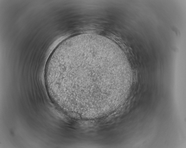 X0000111470147200908241349