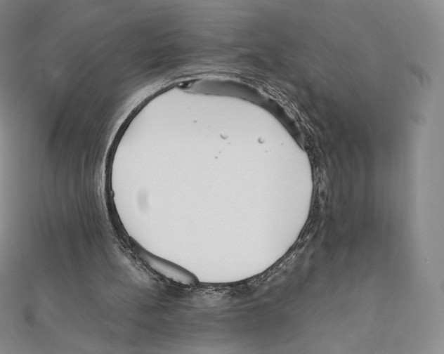 X0000111470148200908241349