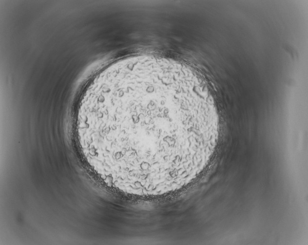 X0000111470149200908241349