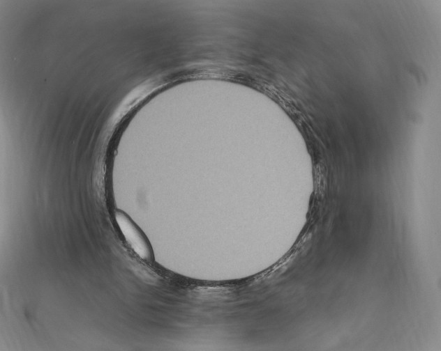 X0000111470150200908241349