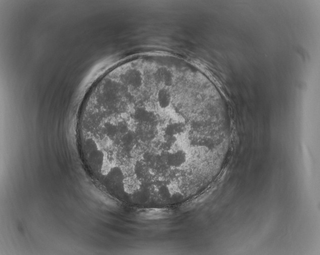 X0000111470151200908241349