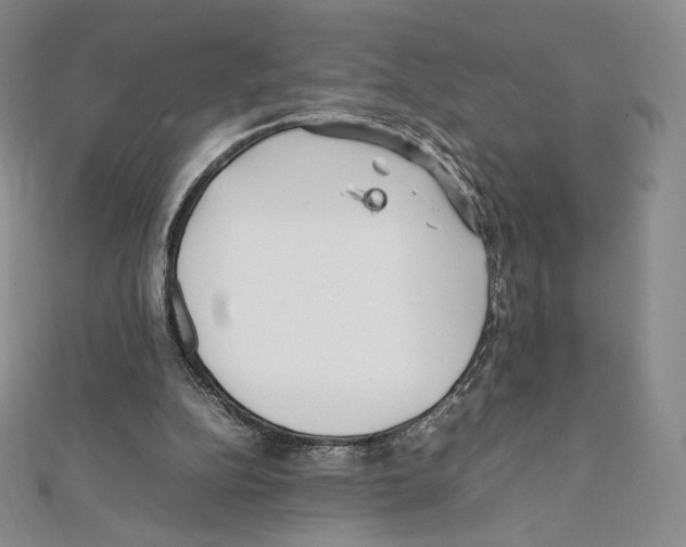 X0000111470152200908241349