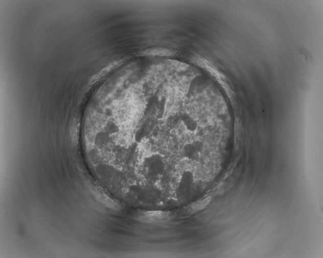 X0000111470153200908241349