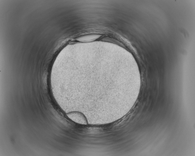 X0000111470154200908241349