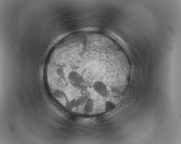 X0000111470155200908241349