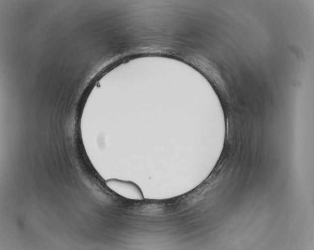 X0000111470156200908241349