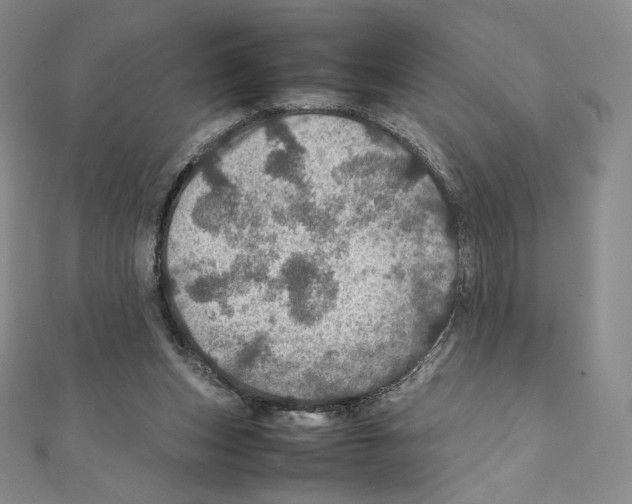 X0000111470159200908241349