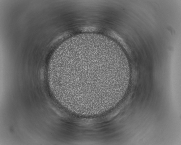 X0000111470161200908241349