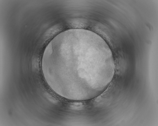 X0000111470162200908241349