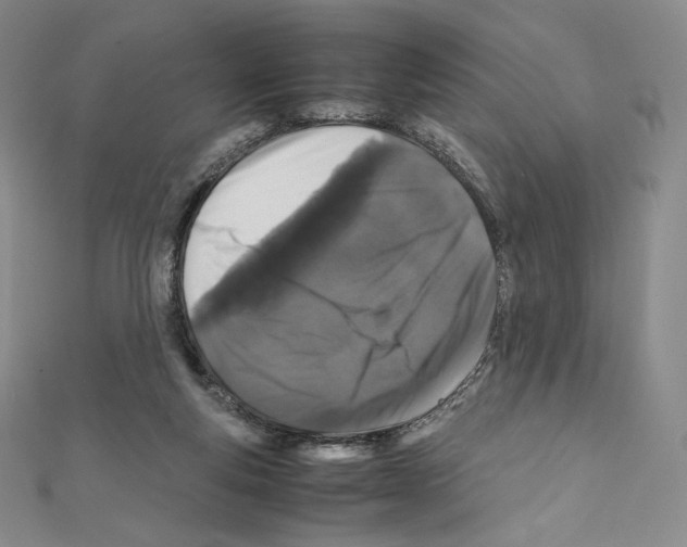 X0000111470163200908241349