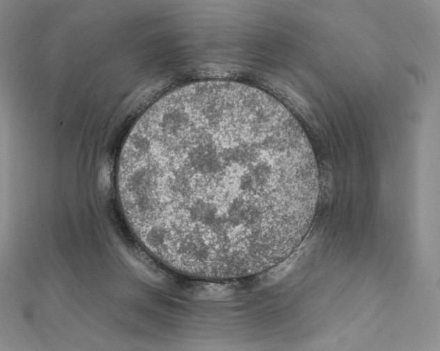 X0000111470166200908241349