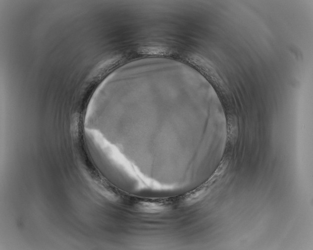 X0000111470167200908241349