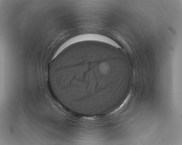 X0000111470170200908241349