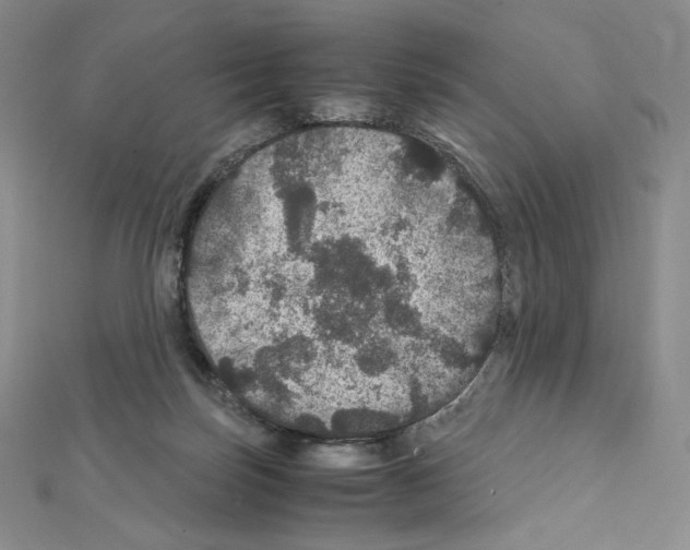 X0000111470171200908241349