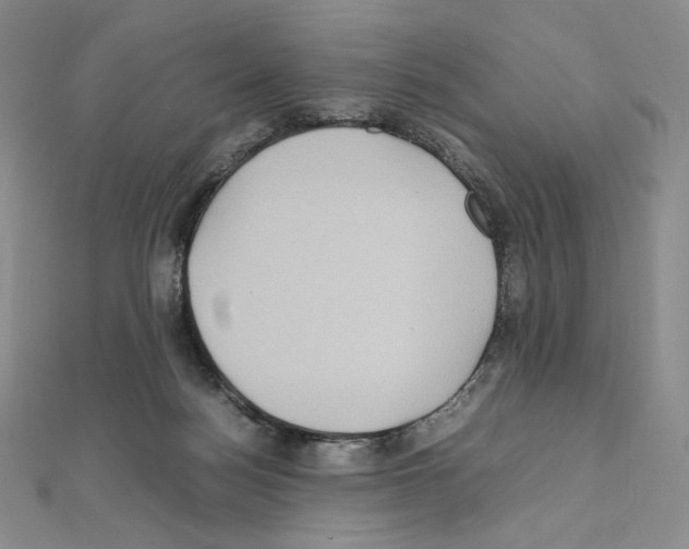 X0000111470172200908241349