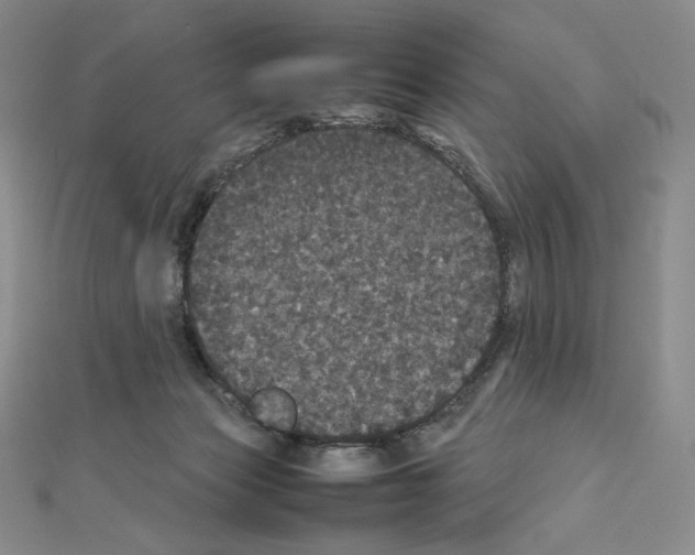 X0000111470173200908241349