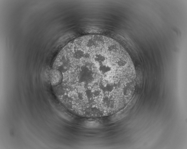 X0000111470175200908241350