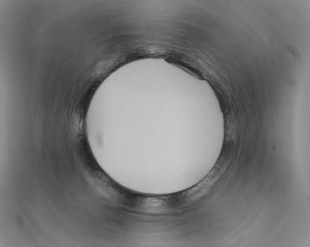 X0000111470176200908241350