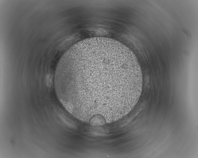 X0000111470177200908241350