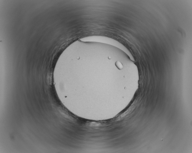 X0000111470180200908241350