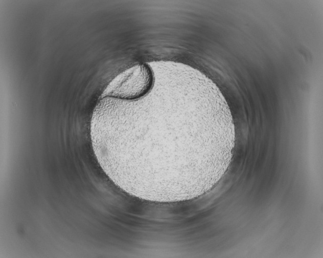 X0000111470182200908241350