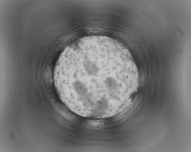 X0000111470187200908241350