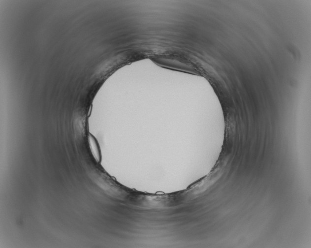 X0000111470188200908241350