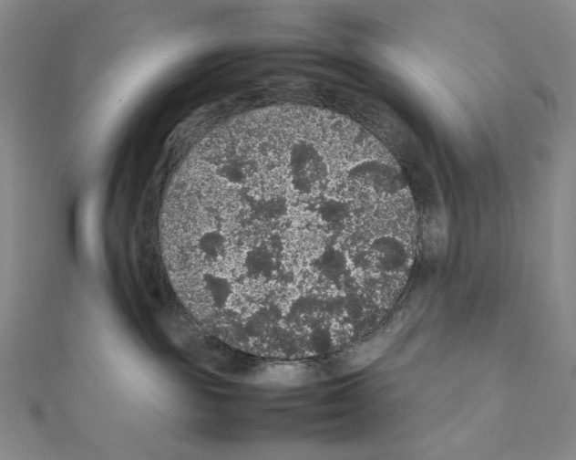 X0000111470189200908241350