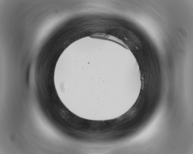 X0000111470190200908241350