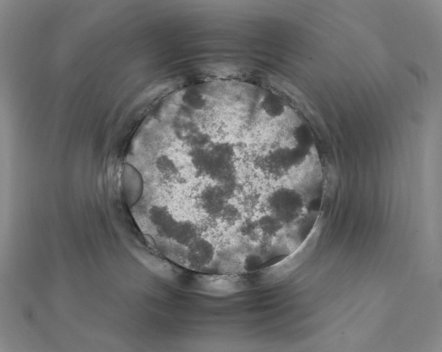 X0000111470191200908241350