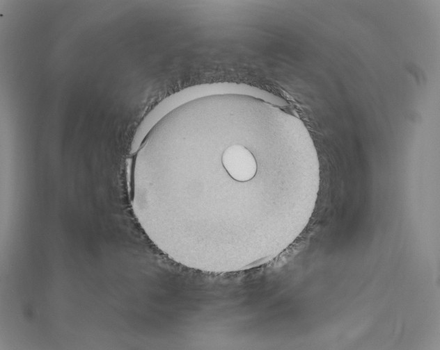 X0000111470192200908241350