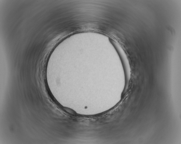 X0000111470193200908241349