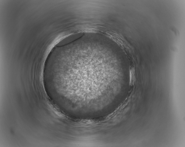 X0000111470195200908241349