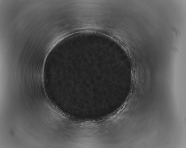 X0000111470196200908241349