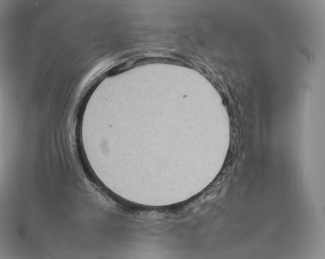 X0000111470197200908241349