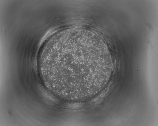 X0000111470198200908241349