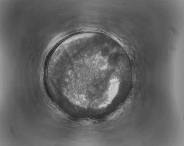 X0000111470199200908241349