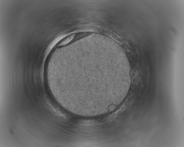 X0000111470200200908241349