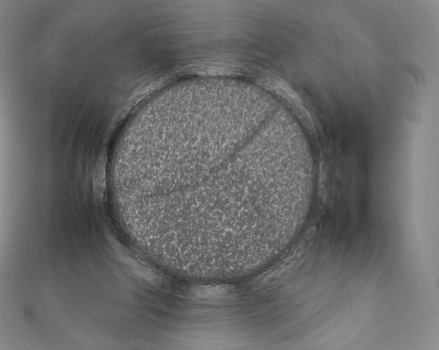 X0000111470202200908241349