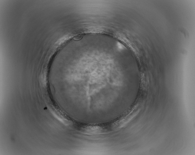 X0000111470203200908241349